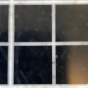 Meet your Posher, Nicholas